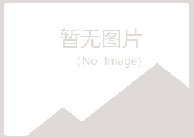 密山清新会计有限公司